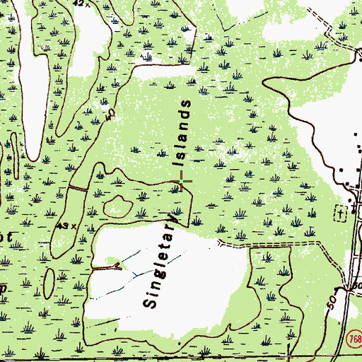 Topographic Map of Singletary Islands, SC