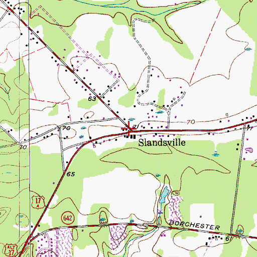 Topographic Map of Slandsville, SC