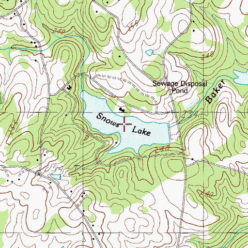Topographic Map of Snows Lake, SC
