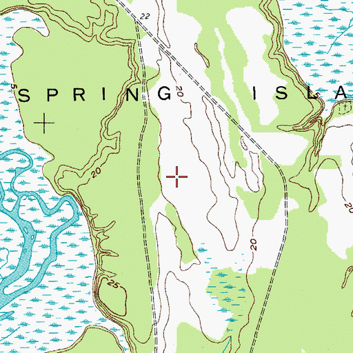 Topographic Map of Spring Island, SC