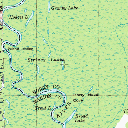 Topographic Map of Stringy Lakes, SC