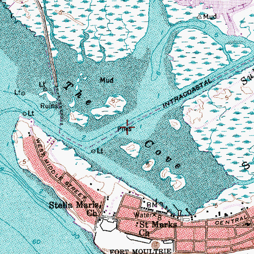Topographic Map of The Cove, SC
