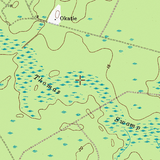 Topographic Map of Thomas Swamp, SC
