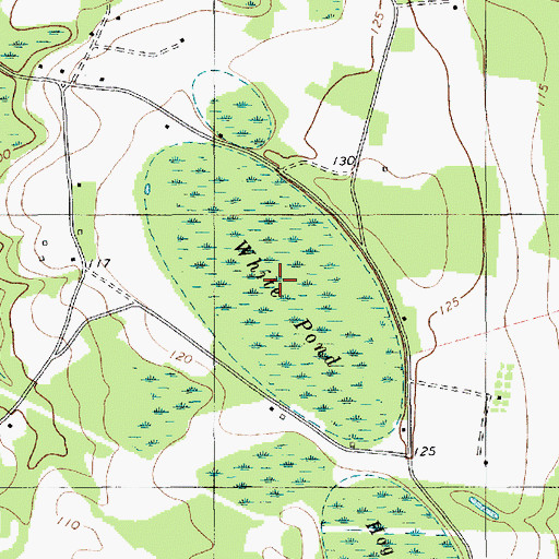 Topographic Map of White Pond, SC
