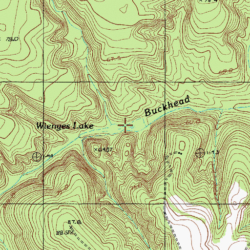Topographic Map of Wienges Lake, SC