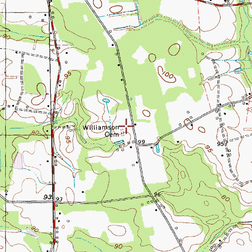 Topographic Map of Williamson Cemetery, SC