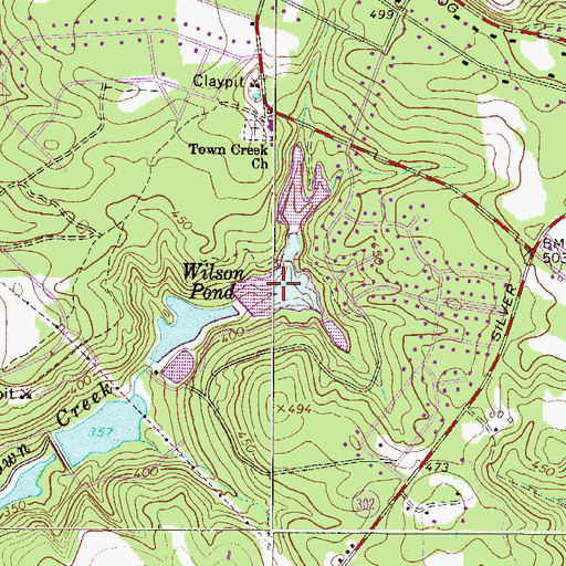 Topographic Map of Wilson Pond, SC