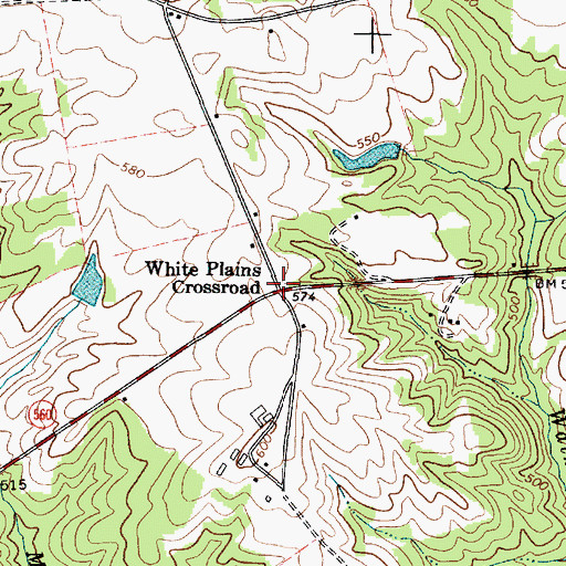 Topographic Map of White Plains Crossroad, SC