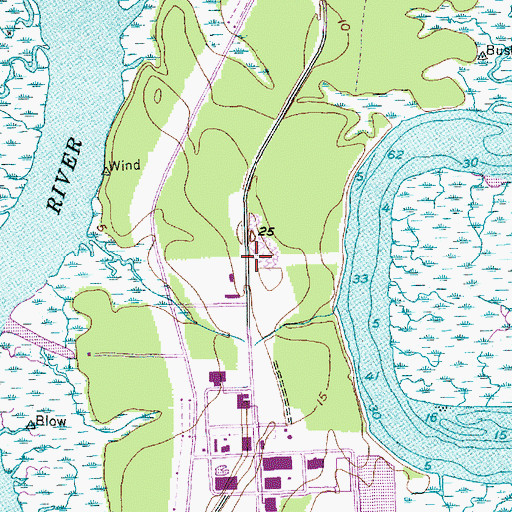 Topographic Map of Bushy Park, SC
