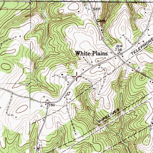Topographic Map of White Plains School (historical), SC