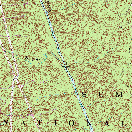 Topographic Map of Buzzard Branch, SC