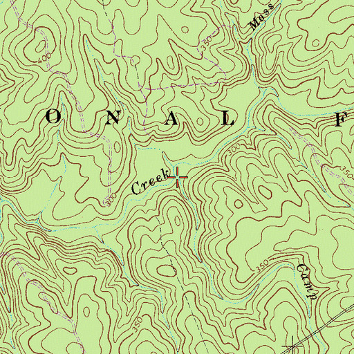 Topographic Map of Camp Branch, SC