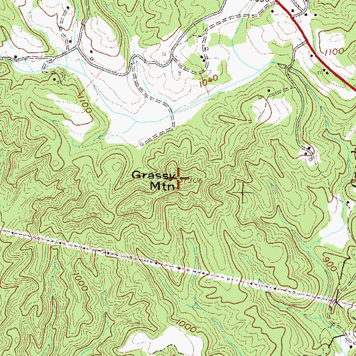 Topographic Map of Grassy Mountain, SC