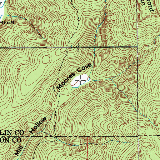 Topographic Map of Moores Cove, AL