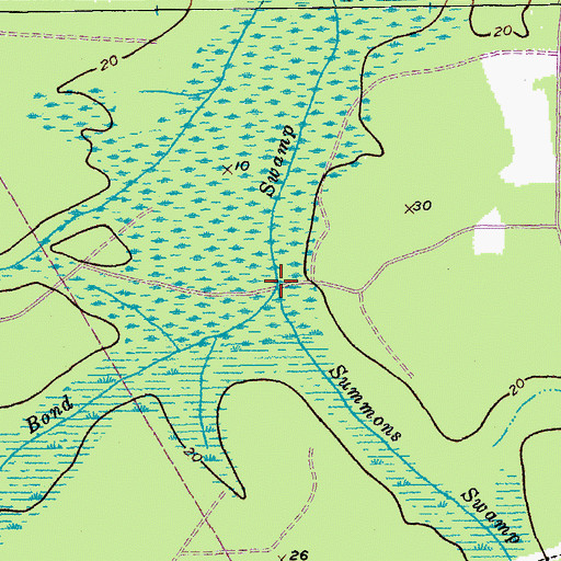 Topographic Map of Summons Swamp, SC