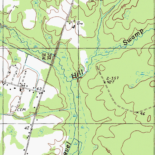Topographic Map of Walker Swamp, SC