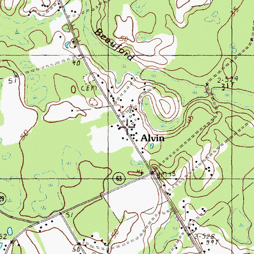 Topographic Map of Alvin, SC