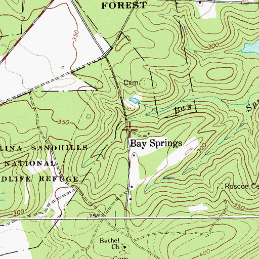 Topographic Map of Bay Springs, SC