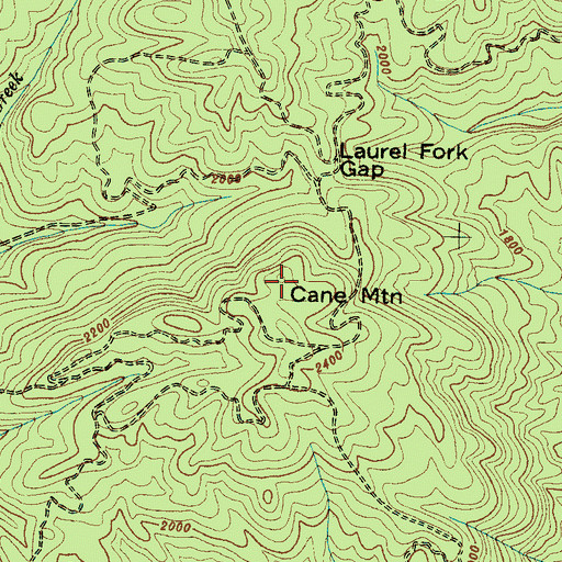 Topographic Map of Cane Mountain, SC