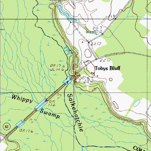 Topographic Map of Tobys Bluff, SC