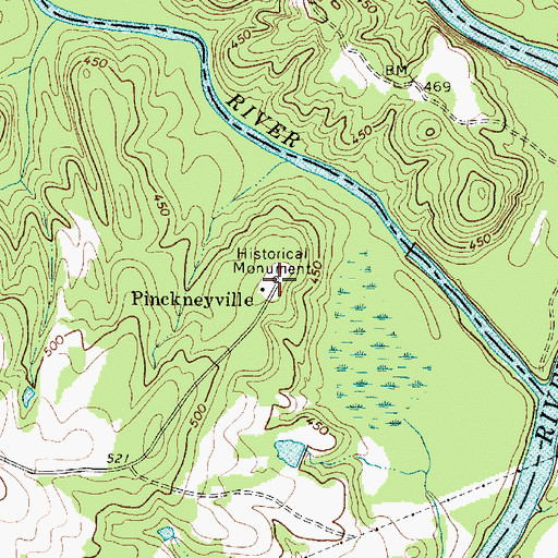 Topographic Map of Pinckney Cemetery, SC