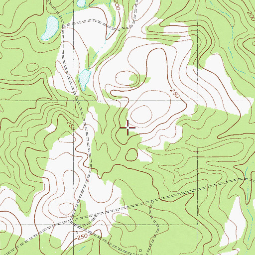 Topographic Map of Bentley Church (historical), SC