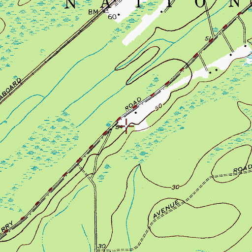 Topographic Map of Razorville (historical), SC