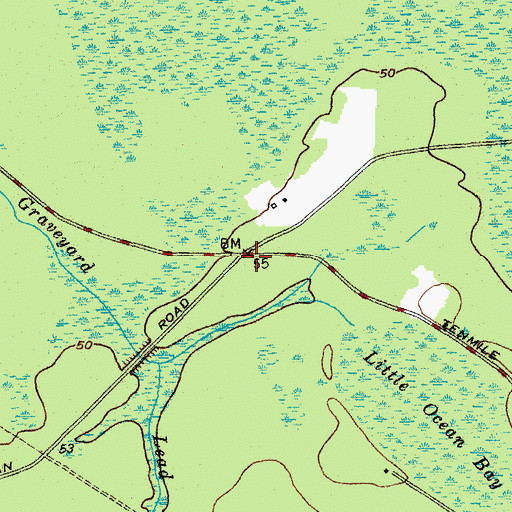 Topographic Map of Wrangle Town (historical), SC