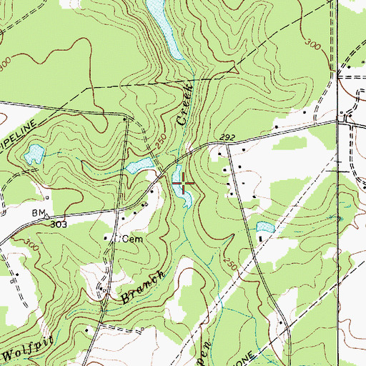 Topographic Map of Curetons Pond, SC