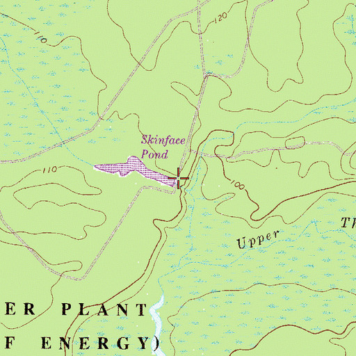 Topographic Map of Skinface Pond, SC