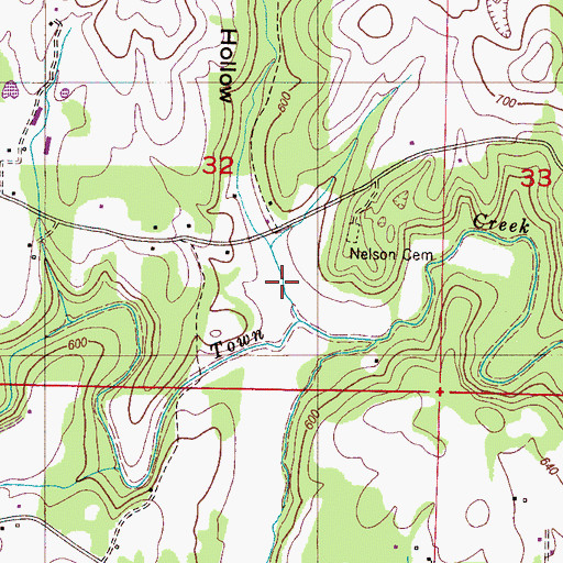 Topographic Map of Nelson Hollow, AL