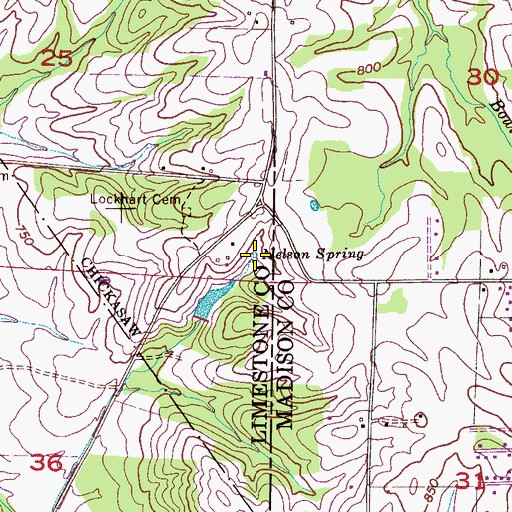 Topographic Map of Nelson Spring, AL