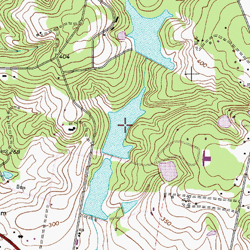 Topographic Map of Gwinns Pond, SC