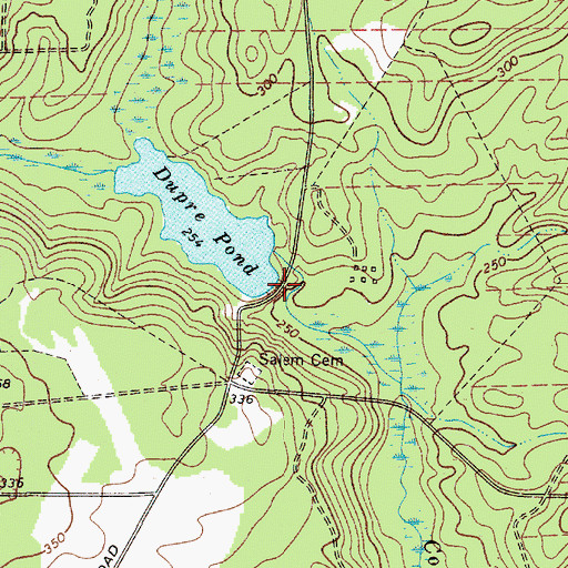 Topographic Map of Dupre Pond Dam D-1674, SC