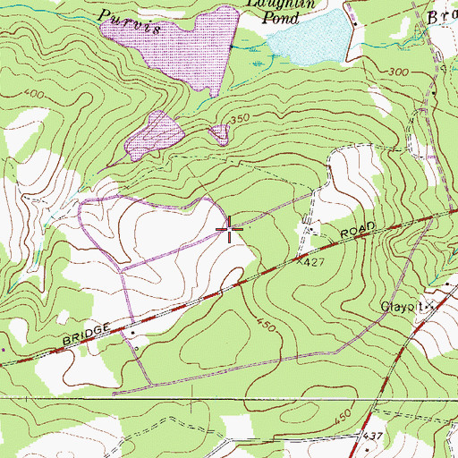 Topographic Map of Laughlin Upper Pond, SC