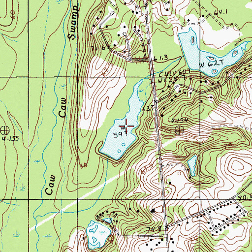 Topographic Map of Shecuts Pond, SC
