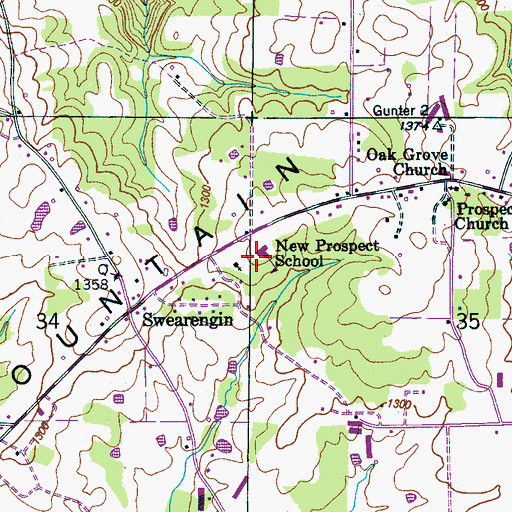 Topographic Map of New Prospect School, AL