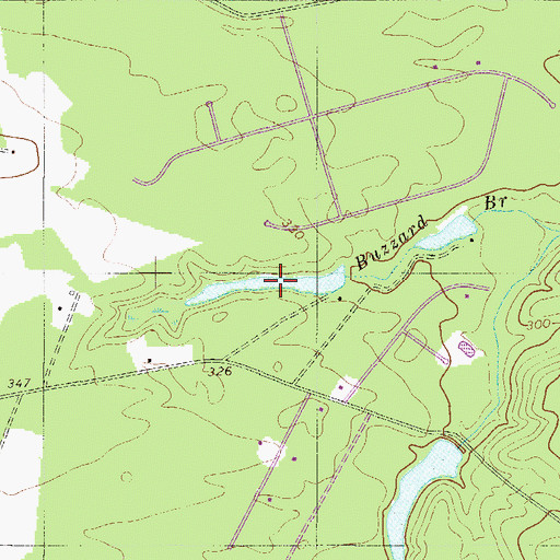 Topographic Map of Whitehead Pond, SC