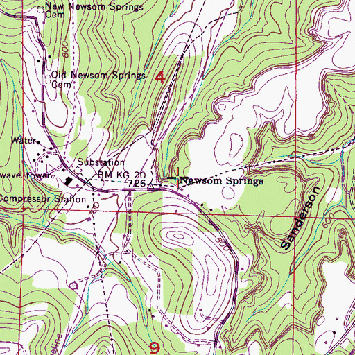 Topographic Map of Newsom Springs, AL