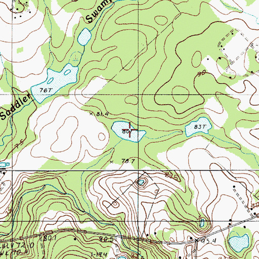 Topographic Map of Bobby Gressett Pond, SC