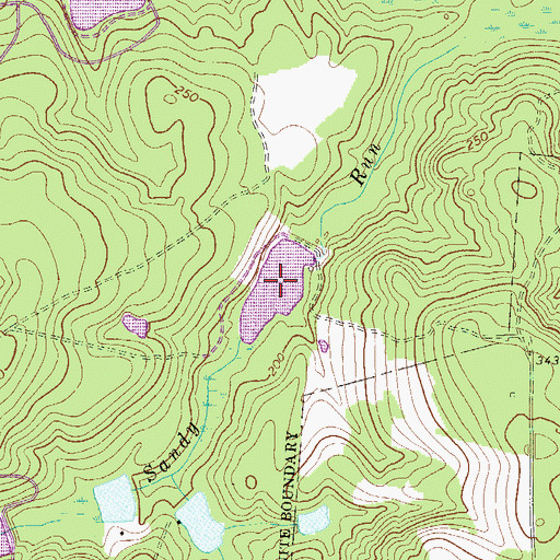 Topographic Map of Lackland Pond, SC