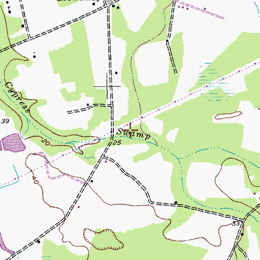 Topographic Map of Martin Duck Pond, SC