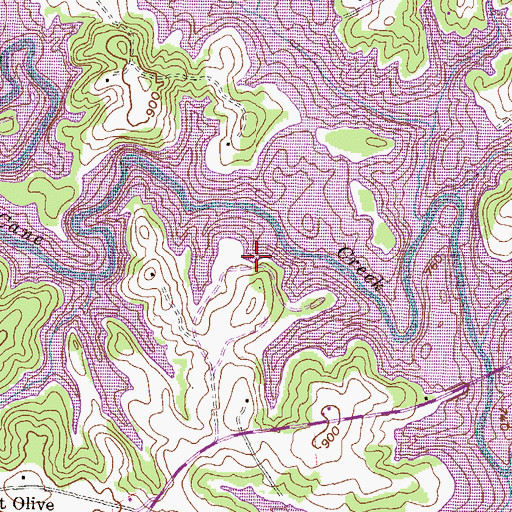 Topographic Map of Cane Creek Landing, SC