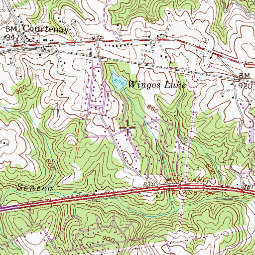 Topographic Map of Enchanted Hills, SC