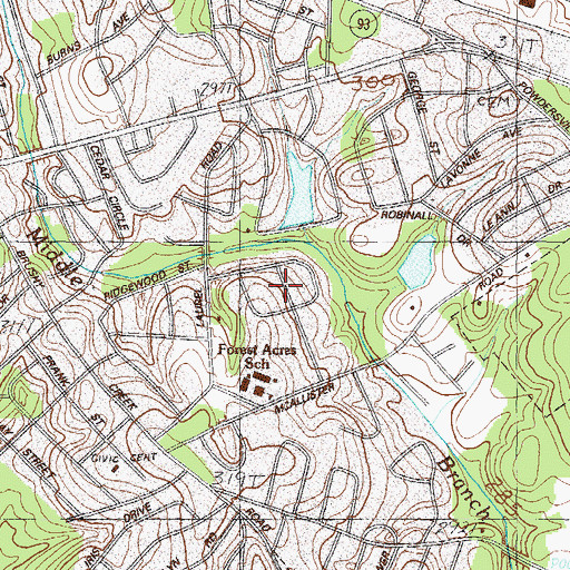 Topographic Map of Pageland, SC