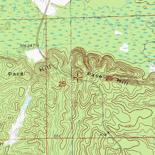Topographic Map of Pace Hill, AL
