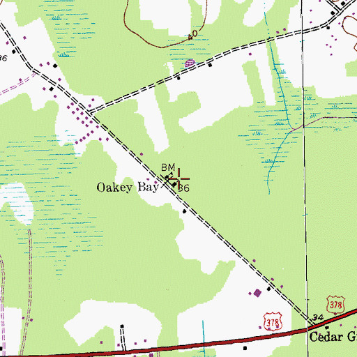 Topographic Map of Oakey Swamp Church, SC