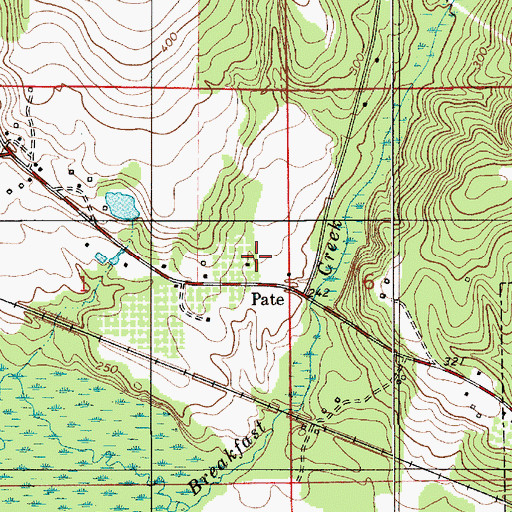 Topographic Map of Pate, AL