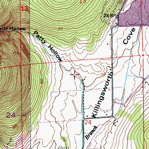Topographic Map of Patty Hollow, AL