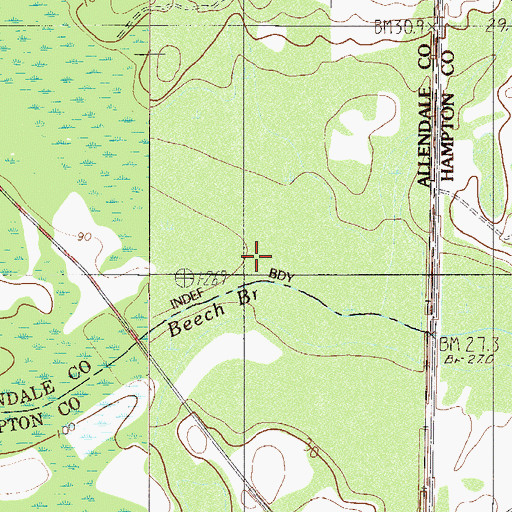 Topographic Map of Beech Branch, SC